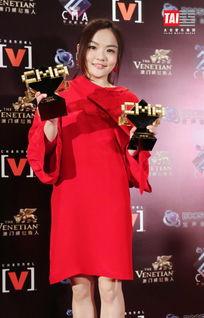 太合娱乐艺人,璀璨星河中的璀璨明珠