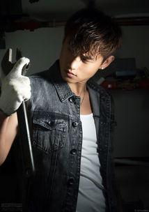 贺飞 资料,探索科技前沿，引领创新发展的领军人物