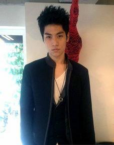 林子闳图片,光影交织的艺术人生