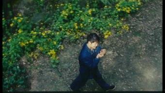 野草莓 电影花絮,揭秘经典电影的诞生瞬间