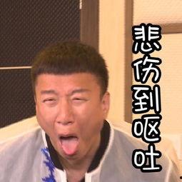 孙红雷婴儿服表情包